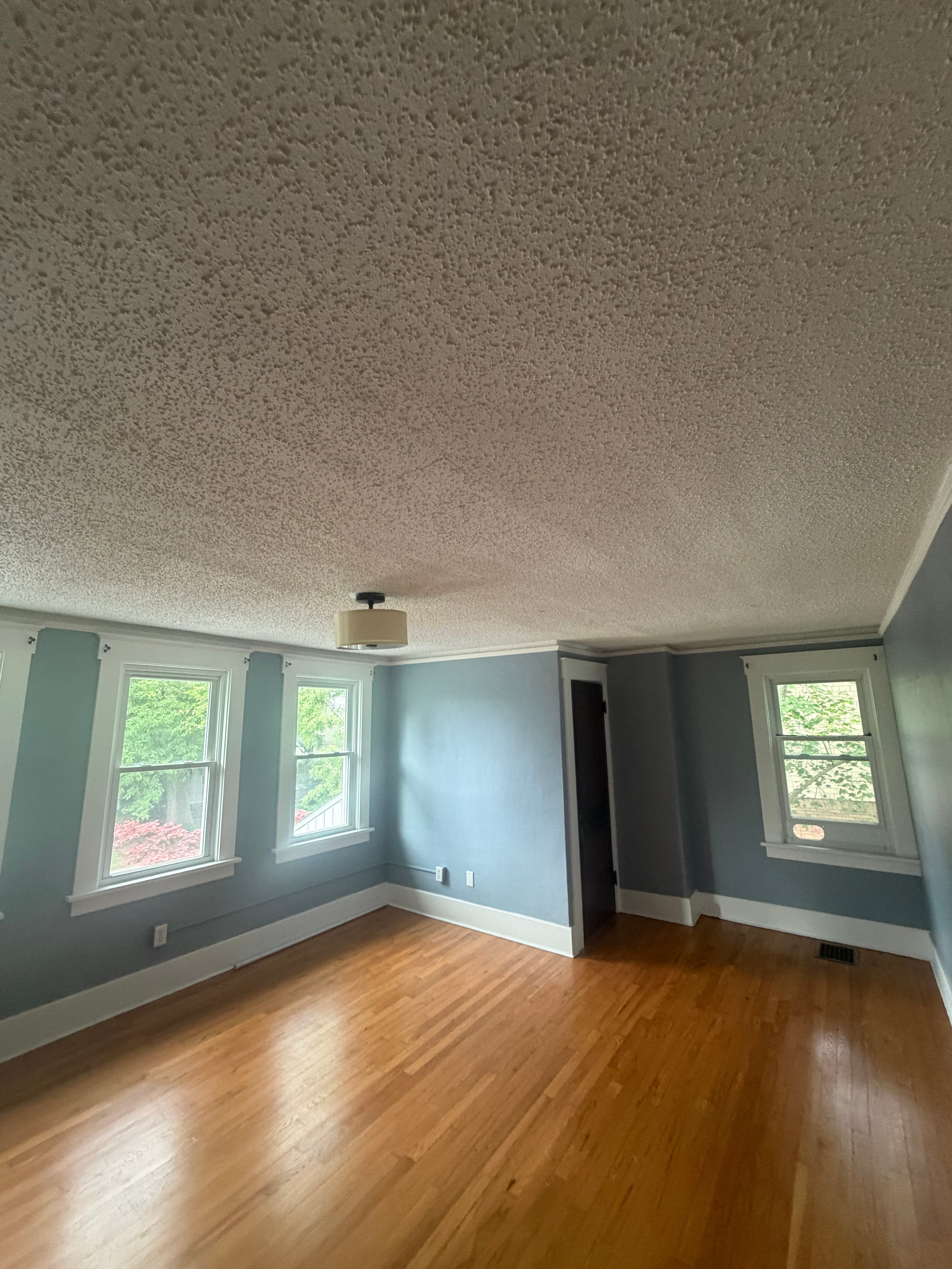 Project Popcorn Ceiling Removal Done Right in Royal Oak image