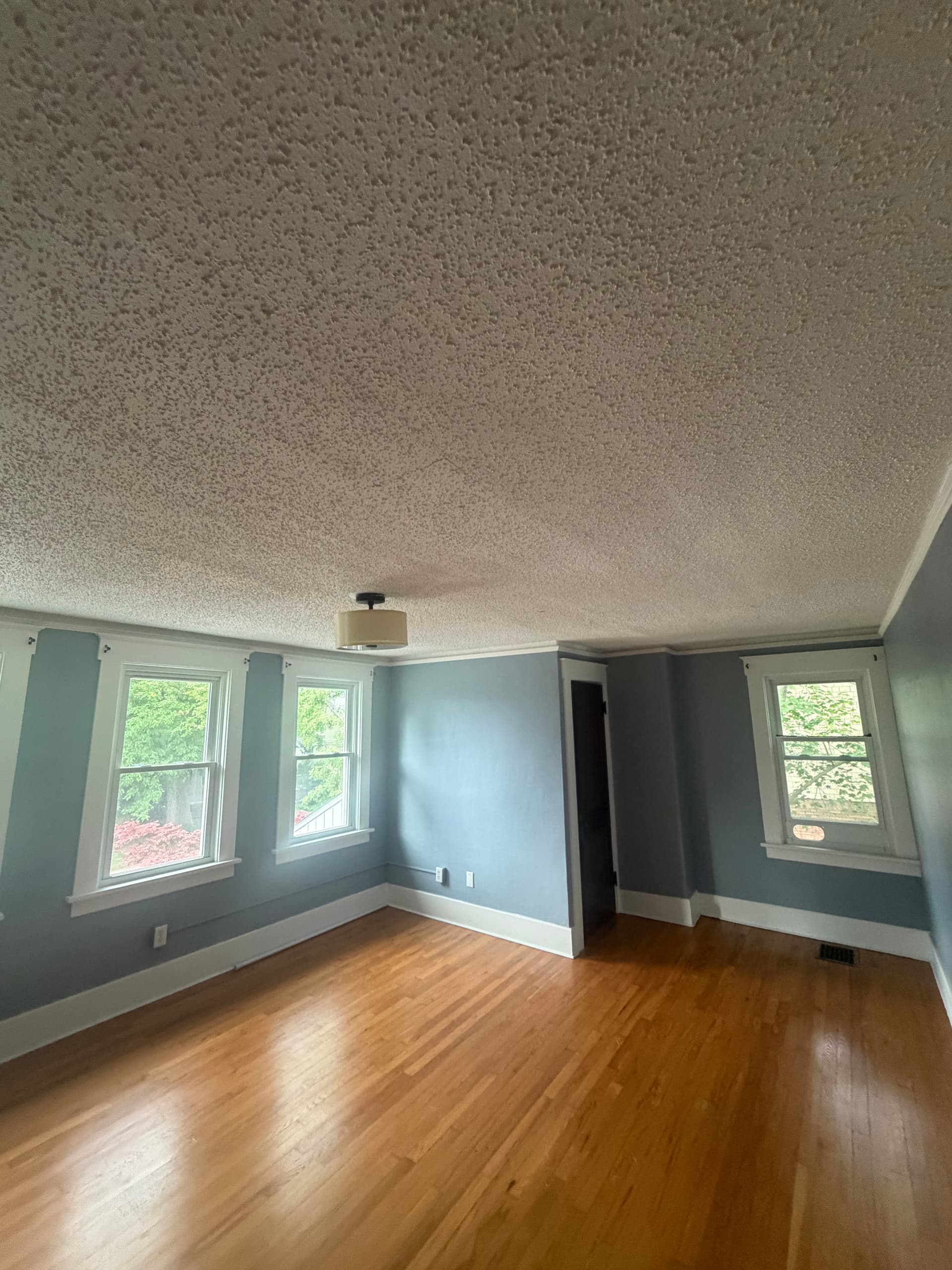 Popcorn Ceiling Removal Done Right in Royal Oak image